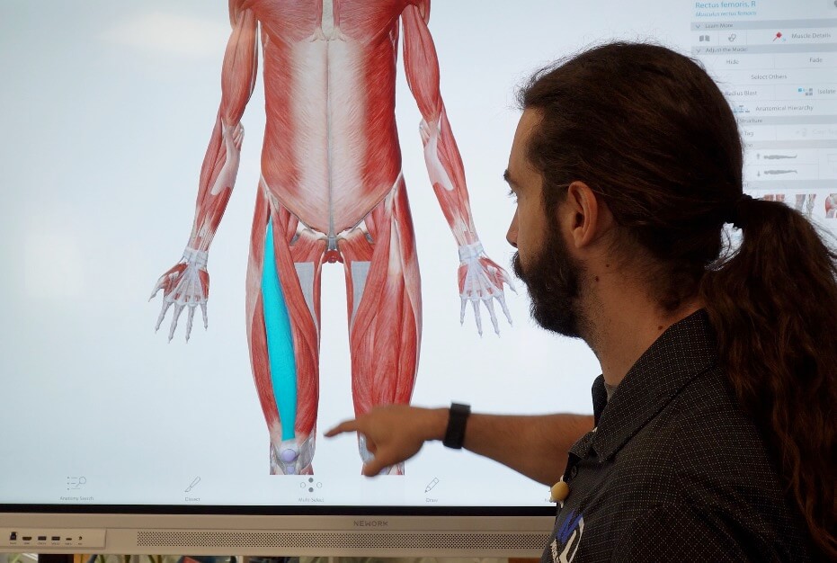 Dr. John showing the muscles of the hip flexors